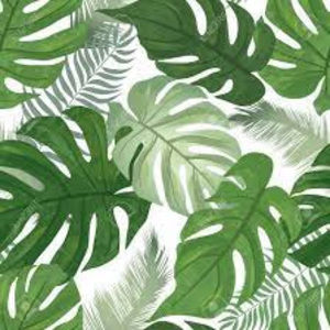 Meet your Posher, Ellaxandra